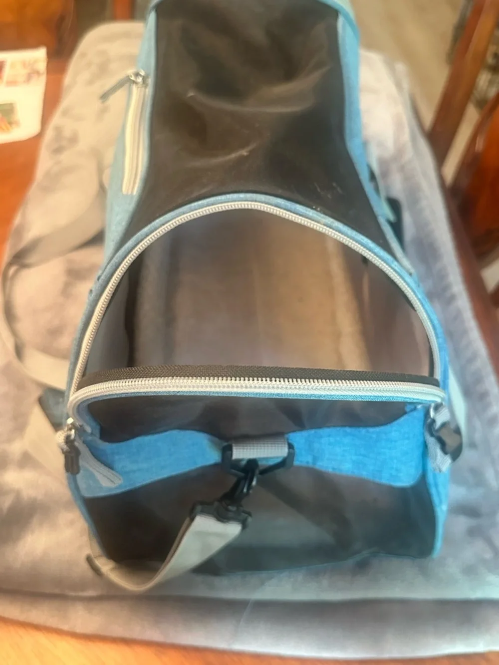 Blue Soft-Sided Pet Carrier with Gray Straps